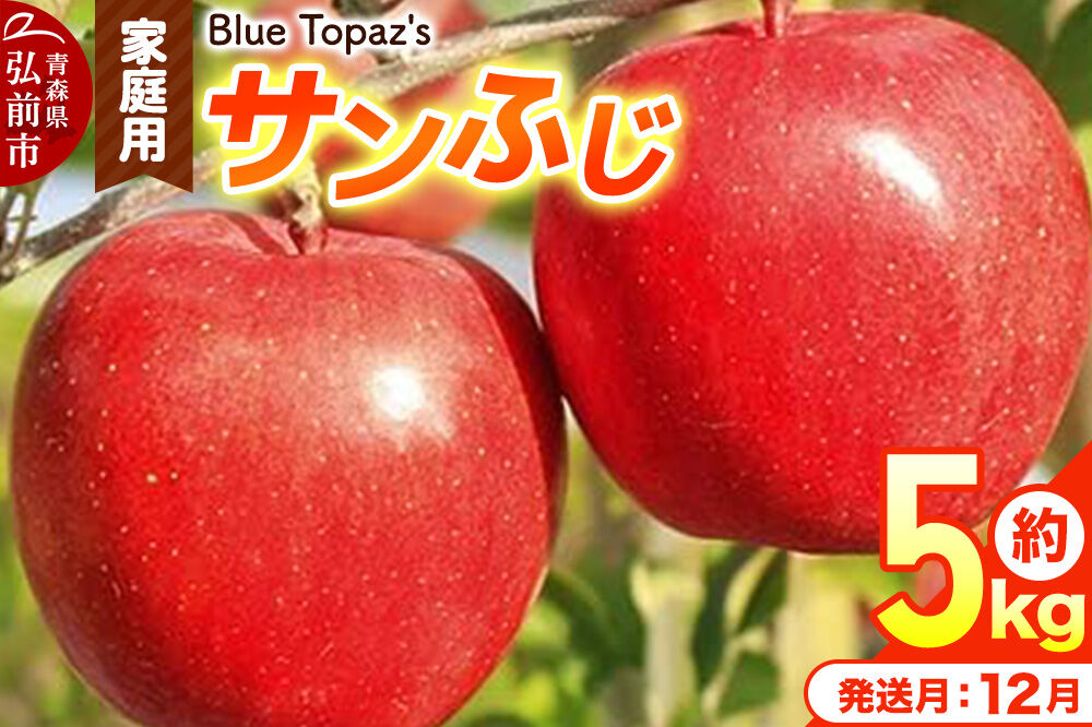 【26年12月発送】りんご サンふじ【家庭用】約5kg 青森県 弘前市 [先行予約 アップル おいしい ふじ りんご 果実 果物 赤色 津軽 糖度 美味 林檎]