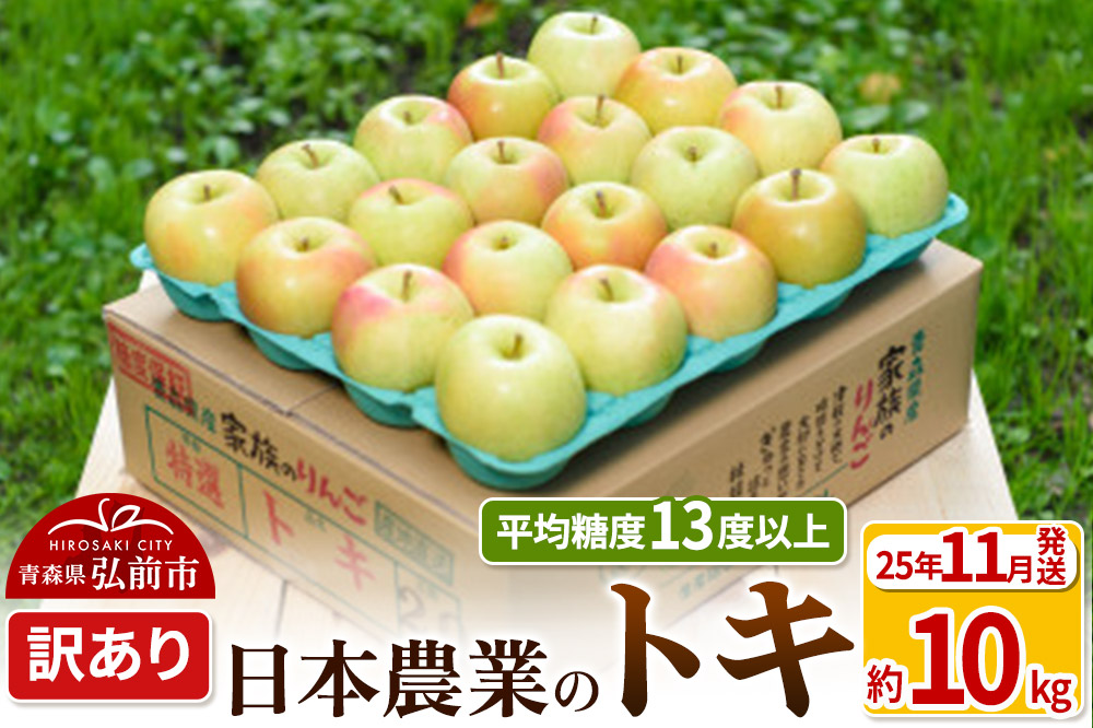 【25年11月発送】りんご 平均糖度13度以上！ トキ 約10kg 訳あり 青森 果物 フルーツ 林檎 リンゴ くだもの 不揃い 規格外
