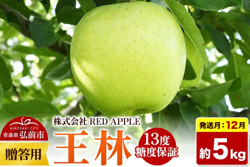 【26年12月発送】りんご 13度糖度保証【贈答用】王林 約5kg 先行受付  [アップル おいしい お歳暮 お中元 ギフト プレゼント りんご 王林 黄色 果実 果物 贈り物 贈答用 糖度 美味 林檎]