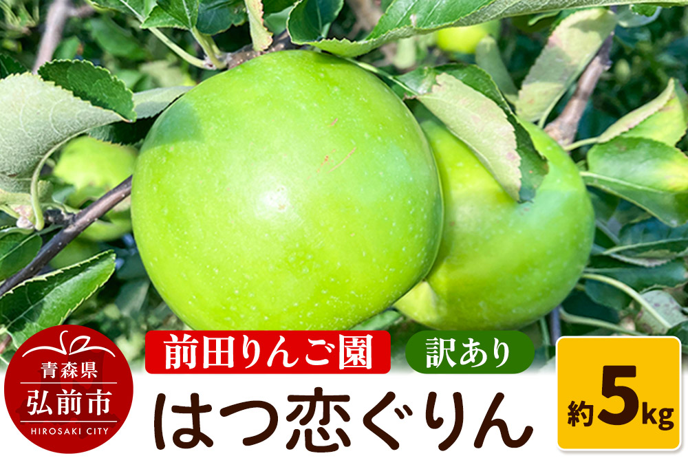 【25年10月〜発送】りんご 【訳あり】 はつ恋ぐりん 約 5kg  前田りんご園