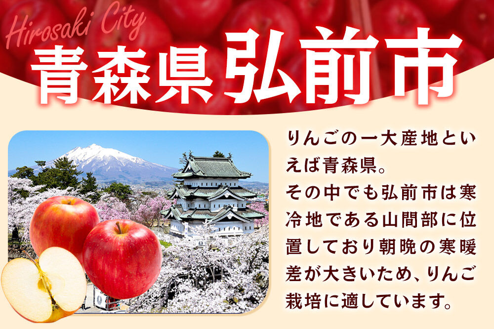 【26年11月発送】りんご ぐんま名月【贈答用】約3kg 先行受付 青森県 弘前市 果物 フルーツ 林檎 リンゴ くだもの ギフト 贈り物 [先行予約 産地直送 アップル おいしい 果実 美味 甘い 黄色]