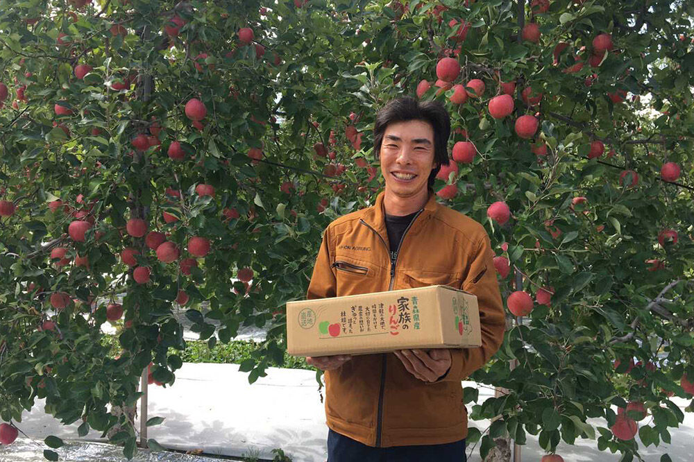 【26年5月クール便発送】りんご 平均糖度13度以上！ シナノゴールド 約5kg おもてなし用 CA貯蔵 クール便 青森 果物 フルーツ 林檎 リンゴ くだもの [りんご シナノゴールド おもてなし 贈答 弘前]