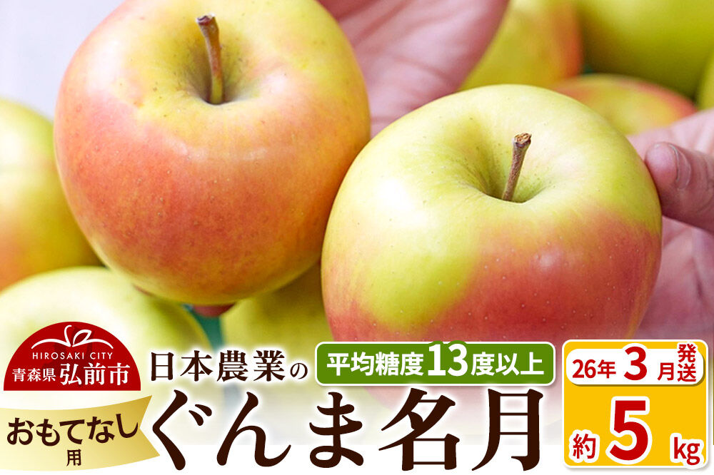 【26年3月発送】りんご 平均糖度13度以上！ ぐんま名月 約5kg おもてなし用 青森 果物 フルーツ 林檎 リンゴ くだもの [リンゴ 林檎 アップル 果物 産地直送 フルーツ]