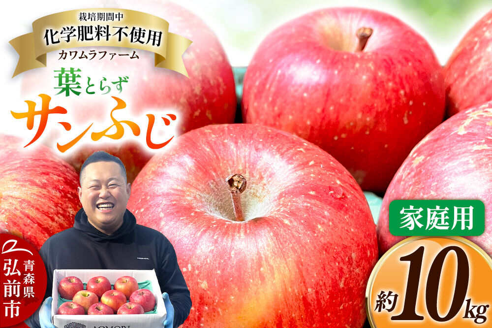 ããã èãšãã ãµã³ãµã çŽ10kg ã«ã¯ã ã©ãã¡ãŒã å®¶åºçš 鿣® æç© ãã«ãŒã ææª ãªã³ãŽ ãã ãã®