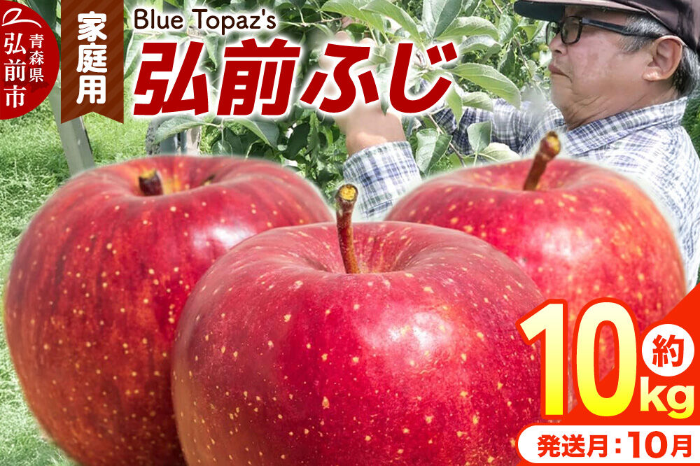 【26年10月中旬〜発送】りんご 弘前ふじ【家庭用】約10kg 青森県 弘前市 [先行予約 アップル おいしい ふじ りんご 果実 果物 赤色 津軽 糖度 美味 林檎]