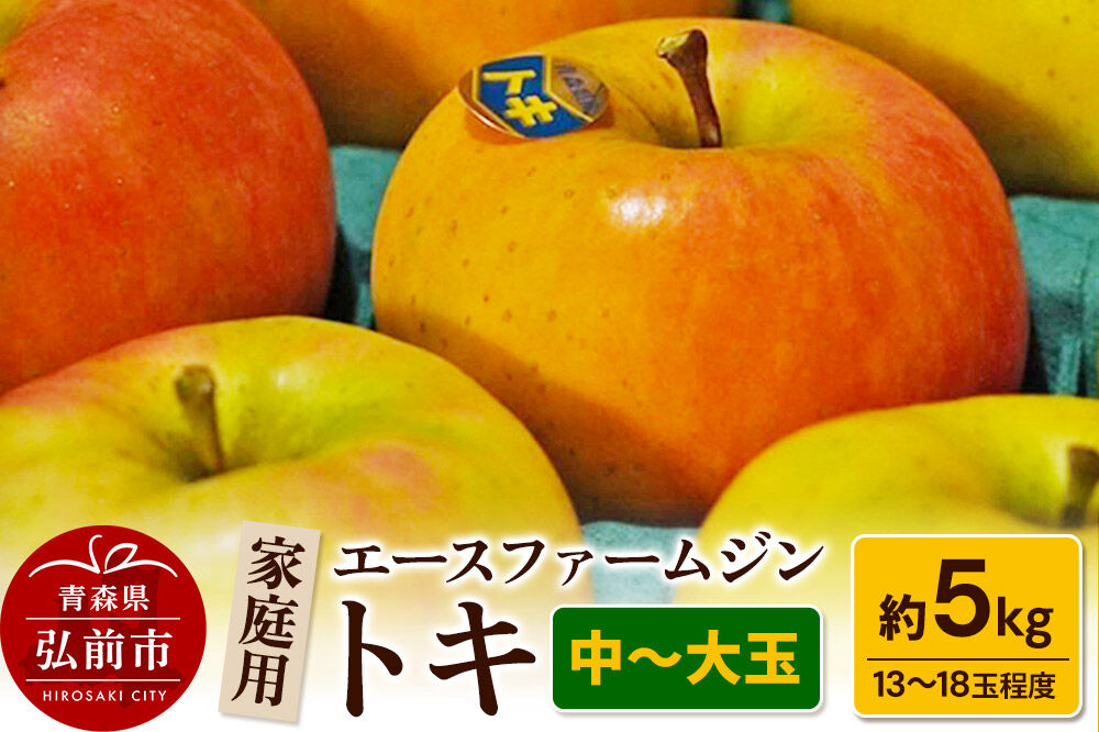 【26年9月下旬〜発送】りんごトキ 家庭用 約5kg（中玉〜大玉13〜18玉程度）【先行受付】 青森 果物 フルーツ 林檎 リンゴ くだもの 予約 [アップル おいしい トキ りんご 黄色 果実 果物 美味 林檎]