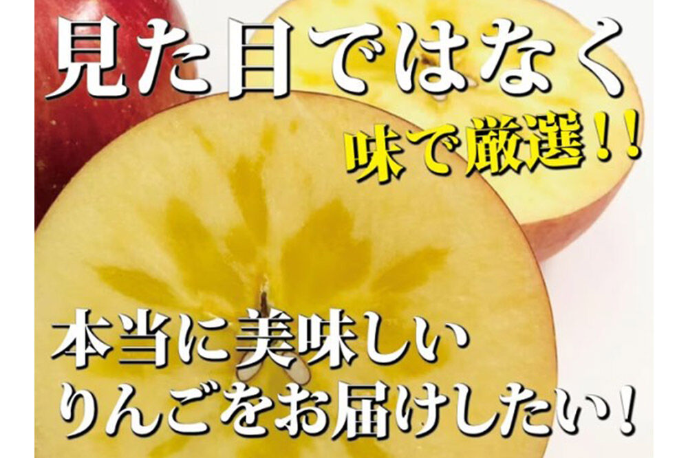 りんご ふじ 約10kg（約5kg×2箱） 樹上完熟葉とらず【家庭用】厳選品 青森県産 りんご