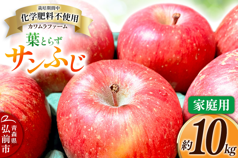 りんご 葉とらず サンふじ 約10kg カワムラファーム 家庭用 青森 果物 フルーツ 林檎 リンゴ くだもの