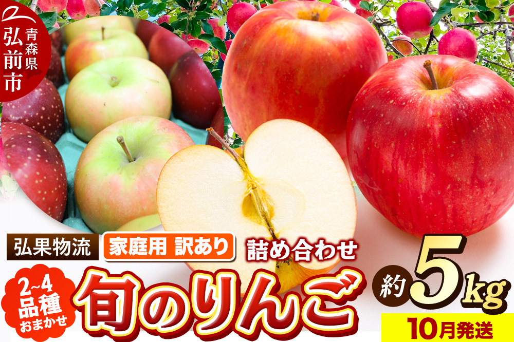 【25年10月発送】りんご 家庭用 訳あり 旬のりんご 品種おまかせ 約5kg 2品種〜4品種