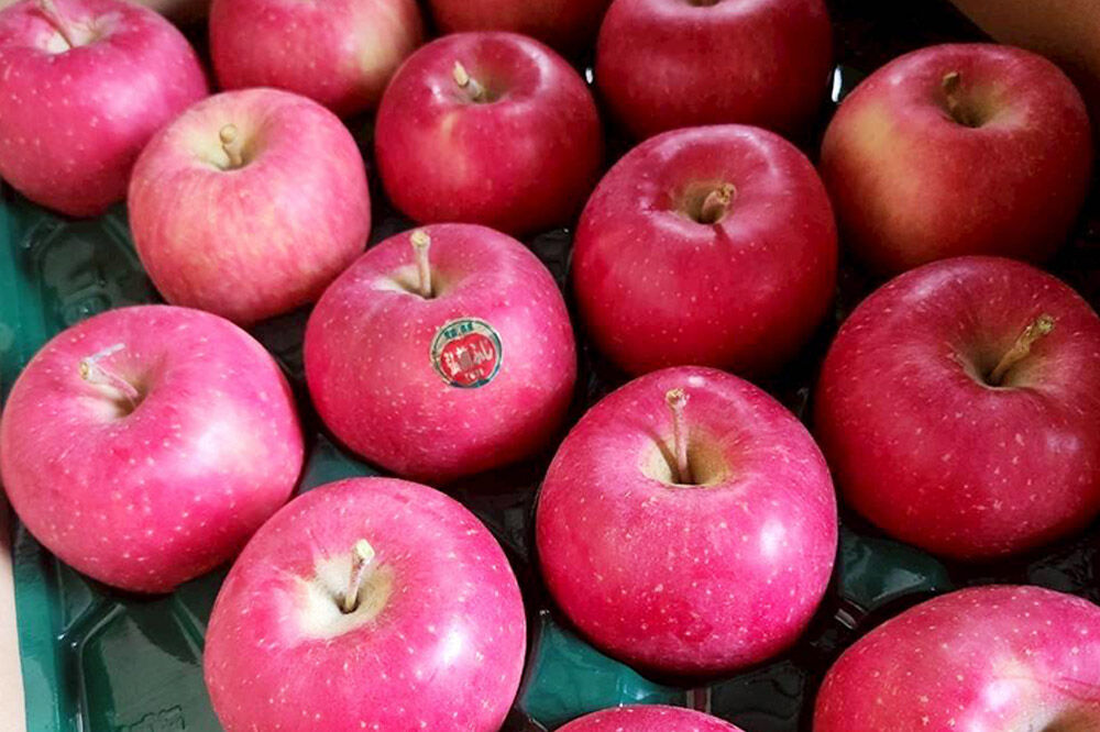 【寄附金額見直しました】【26年10月発送】りんご 早生ふじ【訳あり】家庭用 約5kg [青森産 りんご 早生ふじ アップル 林檎 リンゴ 果物 果実 美味 青森県 弘前市]