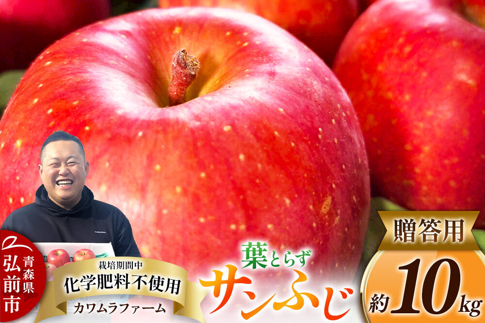 りんご 葉とらず サンふじ 約10kg カワムラファーム 贈答用 青森 果物 フルーツ 林檎 リンゴ くだもの