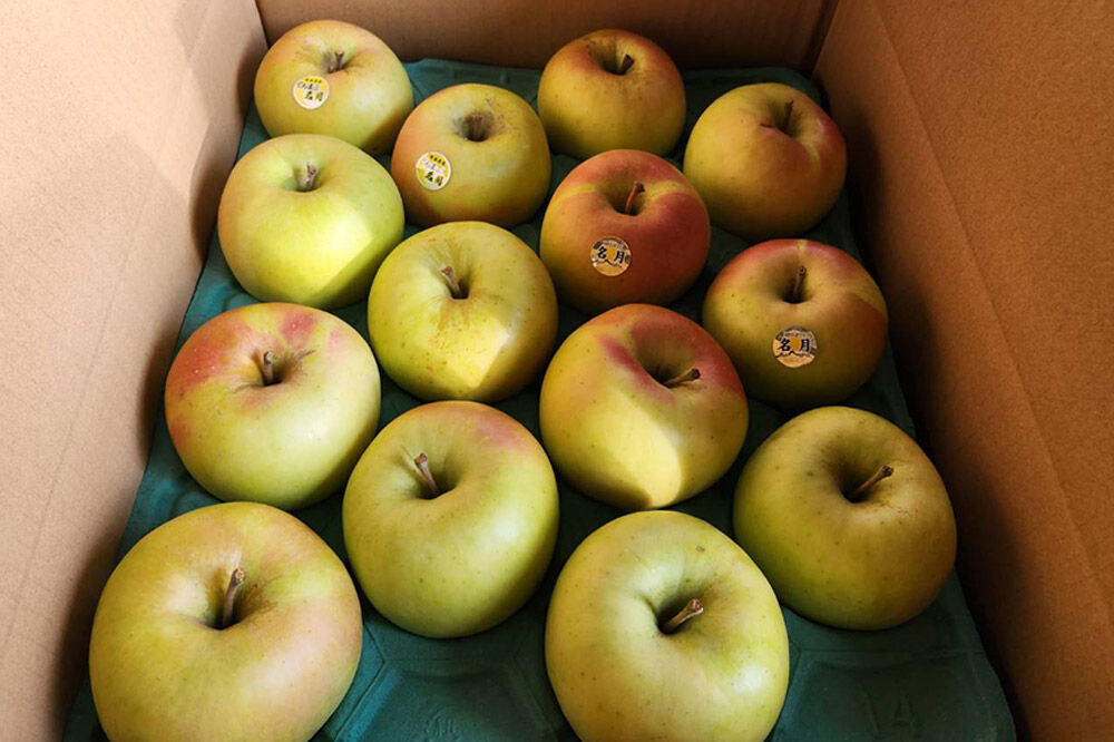 【寄附金額見直しました】【26年11月下旬発送】りんご 名月【贈答用】約3kg [りんご 名月 3kg アップル おいしい お歳暮 お中元 ギフト プレゼント 果実 果物 贈り物 贈答用 美味 林檎 青森県 弘前市]