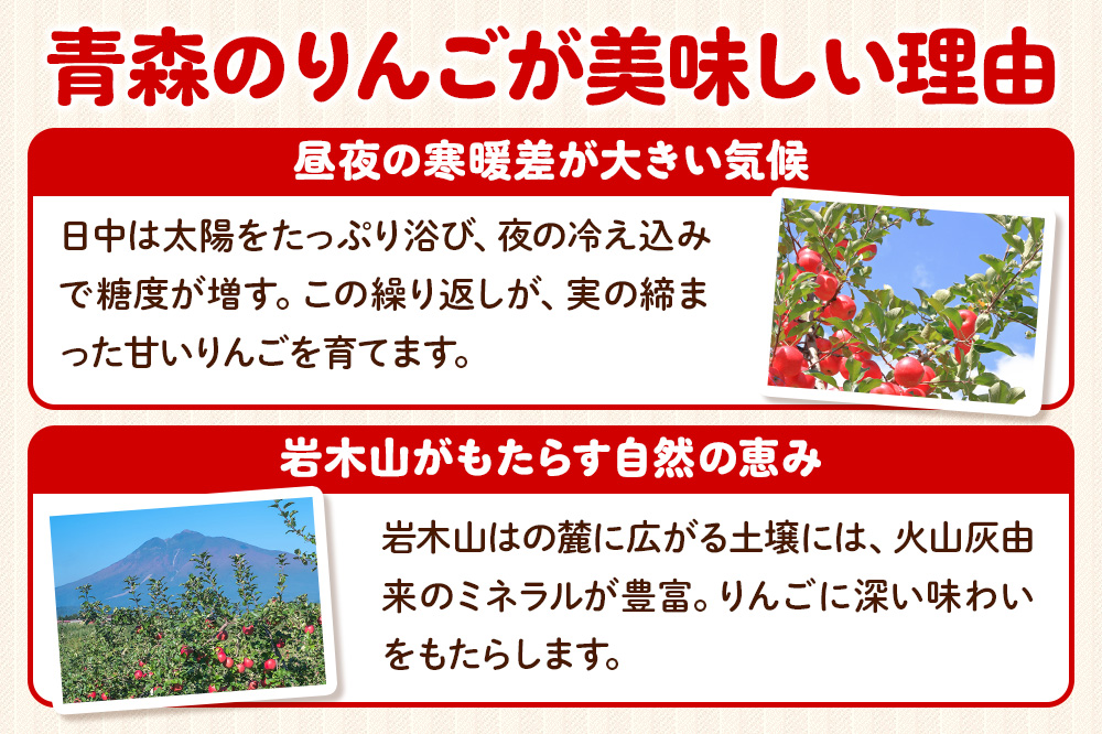 【寄附金額見直しました】りんご 【糖度13度以上】サンふじ 約3kg 【秀品】 青森県 フルーツ 果物