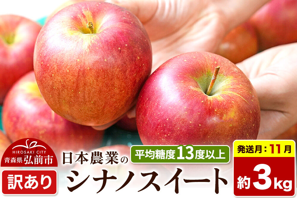 【26年11月発送】りんご シナノスイート【訳あり】約3kg 平均糖度13度以上 青森県 弘前市 果物 フルーツ 林檎 リンゴ くだもの 不揃い 規格外 [先行予約 家庭用 産地直送 アップル 青森県 弘前市]