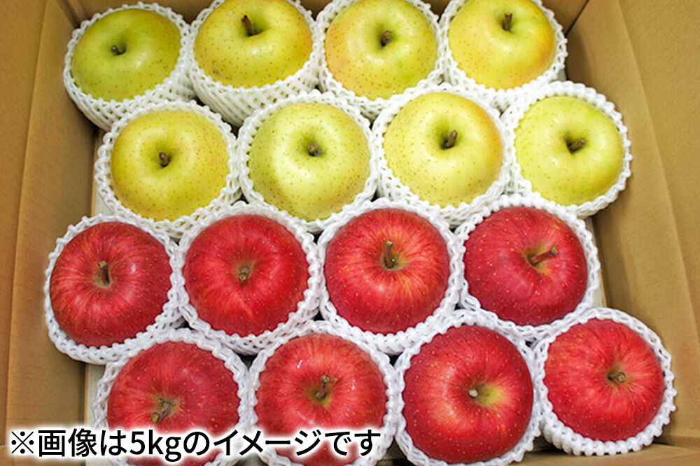 【27年3月発送】りんご サンふじ・王林【贈答用】約5kg（16〜20玉程度）先行受付 青森県産 林檎 リンゴ 果物 くだもの フルーツ 青森県 弘前市 [先行予約 産地直送 ギフト 贈り物 アップル おいしい ふじ 王林 果実 美味 甘い]