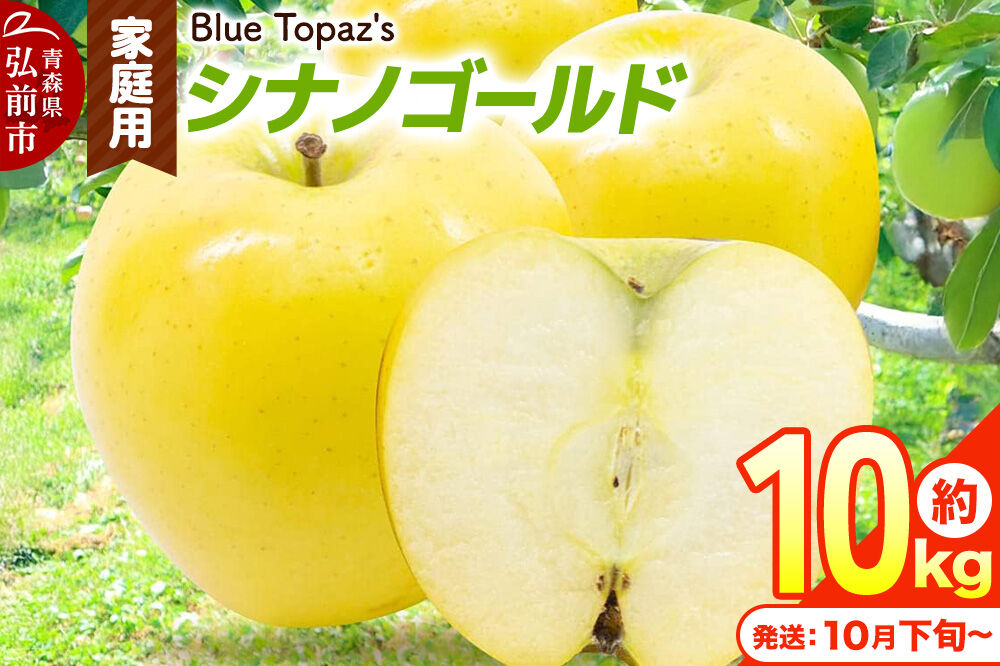 【26年10月下旬〜発送】りんご シナノゴールド【家庭用】約10kg 青森県 弘前市 [先行予約 アップル おいしい ふじ りんご 果実 果物 黄色 津軽 糖度 美味 林檎]