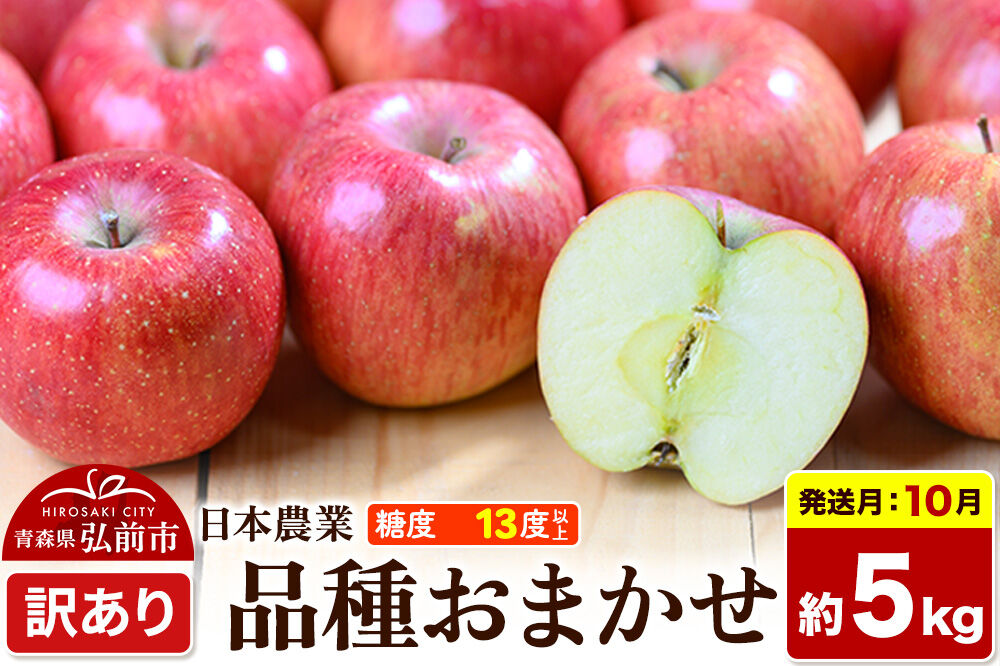 【26年10月発送】りんご 品種おまかせ【訳あり】約5kg 平均糖度13度以上 青森県 弘前市 果物 フルーツ 林檎 リンゴ くだもの 不揃い 規格外 [家庭用 産地直送 アップル 青森県 弘前市]