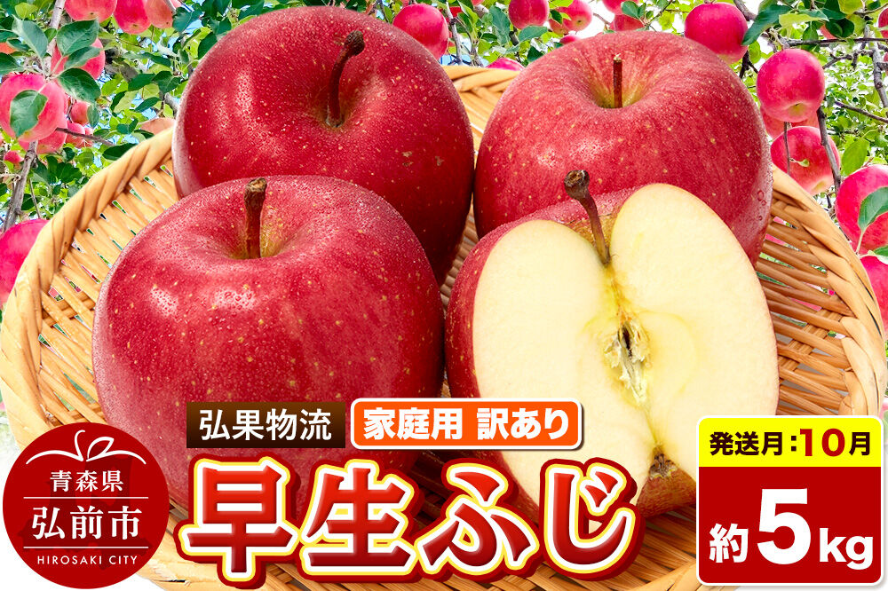 【26年10月発送】りんご 早生ふじ【訳あり】約5kg 家庭用 青森県 弘前市 [早生ふじ りんご 訳あり 家庭用 アップル おいしい 果実 果物 詰め合わせ 詰合 赤色 美味 林檎]