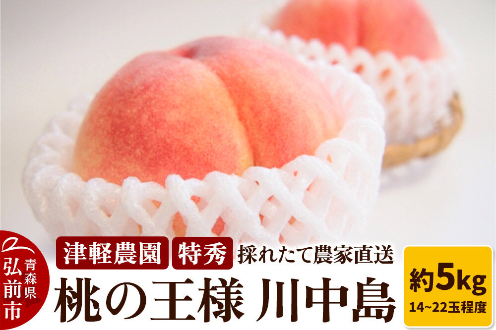 【26年8月発送】桃 約5kg(14〜22玉程度) 青森【2026年産 桃の王様 川中島】もも 特秀 果物 フルーツ くだもの 津軽農園 採れたて 農家直送 [おいしい ピーチ フルーツ もも 果実 果物 青森 津軽 桃 美味]