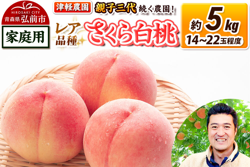 【26年9月発送】桃 約5kg(14〜22玉程度) 青森【2026年産 レア品種 さくら白桃】もも 家庭用 くだもの フルーツ 果物 津軽農園 採れたて 農家直送 [おいしい ピーチ フルーツ もも 果実 果物 青森 津軽 桃 白桃 美味]