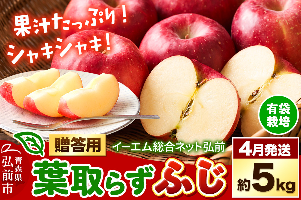 【26年4月クール便発送】りんご  贈答用 葉取らず ふじ 約5kg（有袋栽培・CA貯蔵）EMりんご
