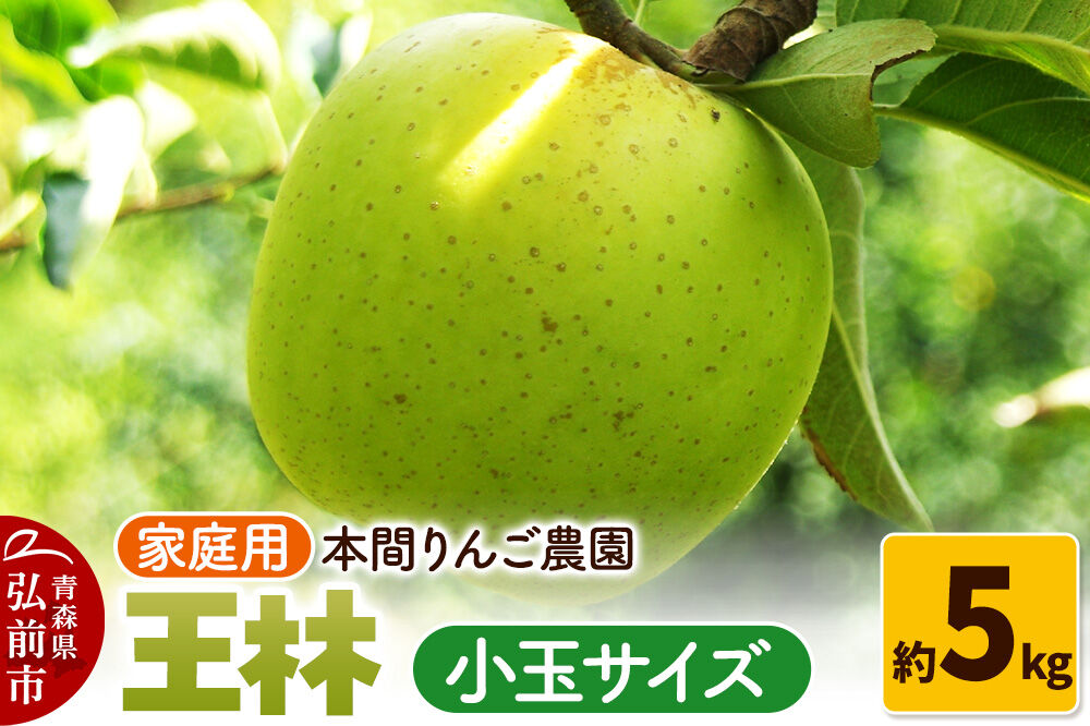 【26年12月発送】りんご 王林【家庭用】約5kg 小玉 先行受付 青森県 弘前市 果物 フルーツ 林檎 リンゴ くだもの 不揃い 規格外 [先行予約 産地直送 アップル おいしい 果実 美味 甘い 黄色]