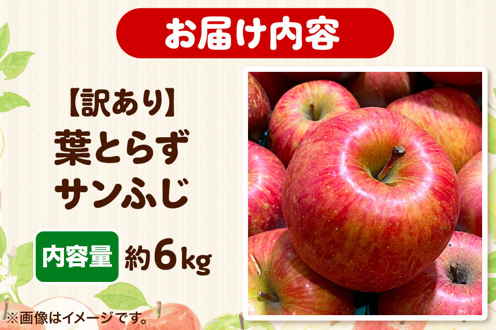 【26年11月〜発送】りんご 高谷農園【訳あり】葉とらずサンふじ 約6kg [青森産 りんご サンふじ 葉とらず アップル 林檎 リンゴ 果物 果実 赤色 美味 青森県 弘前市]