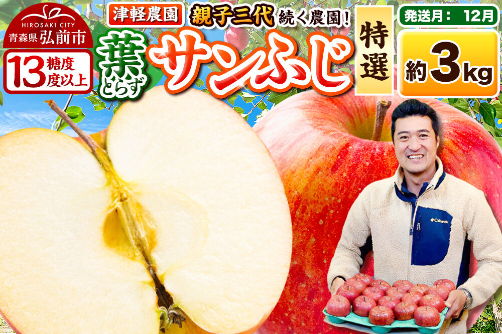 【26年12月発送】りんご 葉とらずサンふじ【特選】約3kg 8〜12玉程度【糖度13度以上】津軽農園 先行受付 青森県 弘前市 果物 フルーツ 林檎 リンゴ くだもの ギフト 贈り物 [先行予約 産地直送 アップル おいしい 果実 美味 甘い 赤色]