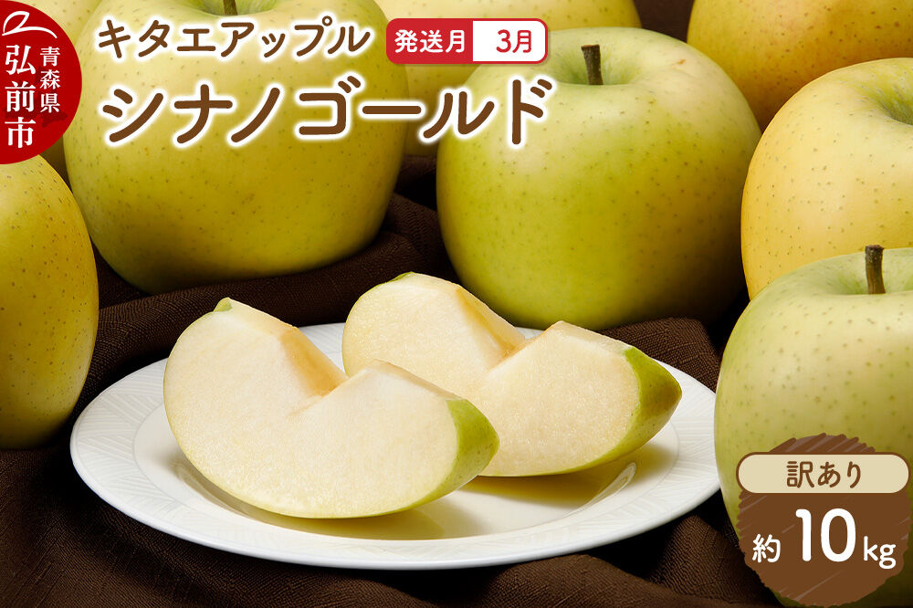 【27年3月クール便発送】りんご シナノゴールド【訳あり】約10kg キタエアップル 先行受付 クール便 家庭用 青森県 弘前市 果物 フルーツ 林檎 リンゴ くだもの 不揃い 規格外 青森県 弘前市 [先行予約 クール便 産地直送 アップル おいしい 果実 美味 甘い 黄色]