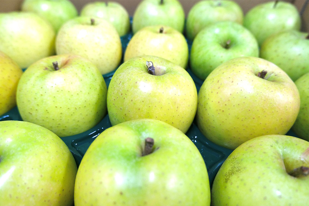 【26年2月発送】りんご 平均糖度13度以上！ 王林 約5kg 訳あり 青森 果物 フルーツ 林檎 リンゴ くだもの 不揃い 規格外