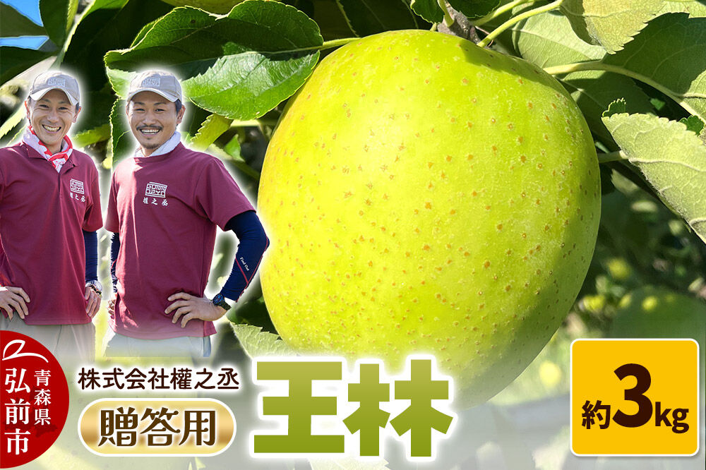 【26年11月発送】りんご 王林【贈答用】約3kg 權之丞 青森りんご 先行受付 青森県 弘前市 果物 フルーツ 林檎 リンゴ くだもの ギフト 贈り物 [先行予約 産地直送 弘前市産 アップル おいしい 果実 美味 甘い 黄色]