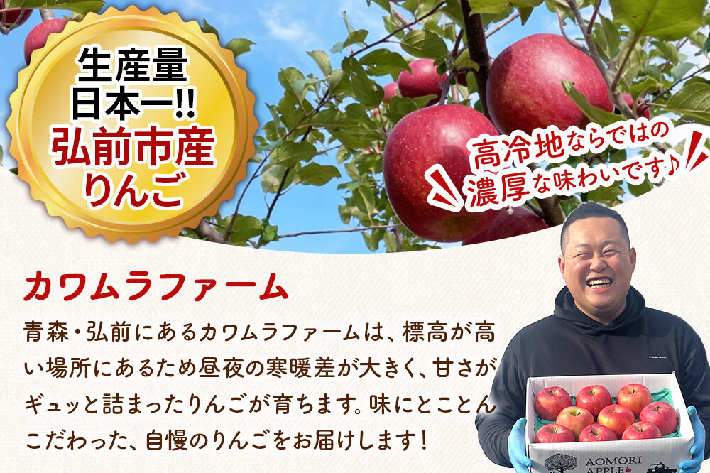 【26年11月下旬〜発送】りんご 葉とらず サンふじ【訳あり】約10kg【先行受付】カワムラファーム 青森県 弘前市 果物 フルーツ 林檎 リンゴ くだもの 不揃い 規格外 [先行予約 産地直送 アップル おいしい 果実 美味 甘い 赤色]