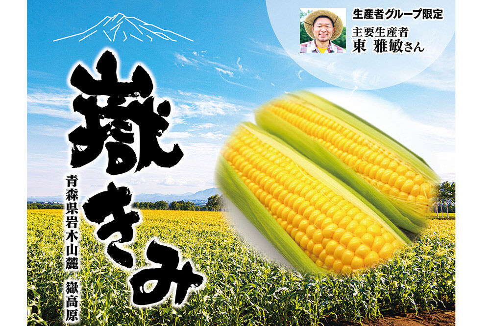 【26年8月中旬〜クール便発送】とうもろこし【先行受付】嶽きみ（だけきみ）2Lサイズ 10本 青森県弘前市産 岩木山麓嶽高原産 [先行予約 おいしい コーン だけきみ とうもろこし ひろさき ブランド もろこし 弘前 青森 美味 野菜 嶽きみ]