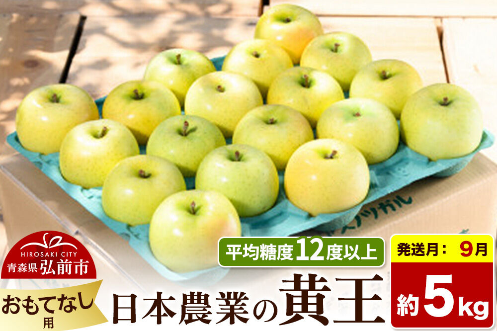 【26年9月クール便発送】りんご 黄王【おもてなし用】約5kg 平均糖度12度以上 青森県産 果物 フルーツ 林檎 リンゴ くだもの [産地直送 アップル 青森県 弘前市]