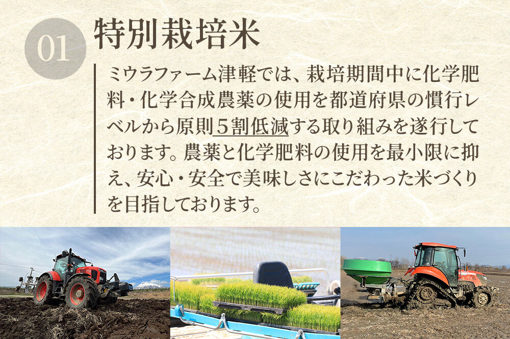 【寄附金額見直しました】米【特別栽培米】はれわたり 白米 5kg 青森県弘前市産