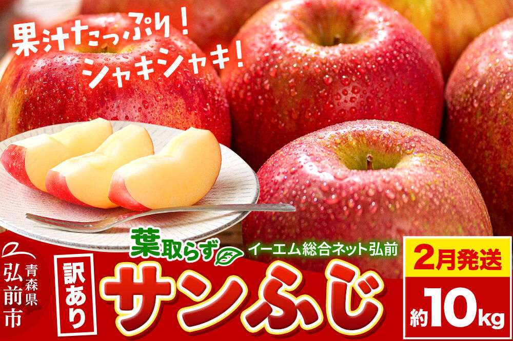【27年2月発送】りんご 葉取らず サンふじ【訳あり】約10kg 糖度13度以上 EMりんご 林檎 リンゴ 果物 くだもの フルーツ 青森県 弘前市 不揃い 規格外 [先行予約 家庭用 産地直送 アップル 青森県 弘前市]