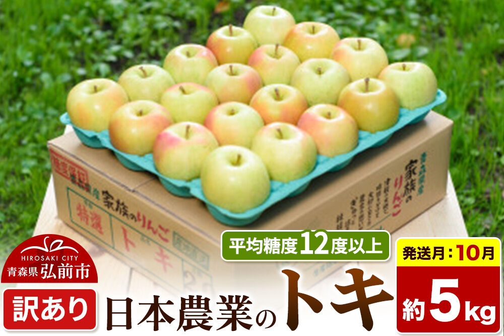 【26年10月発送】りんご トキ【訳あり】約5kg 平均糖度12度以上 青森県 弘前市 果物 フルーツ 林檎 リンゴ くだもの 不揃い 規格外 [先行受付 家庭用 産地直送 アップル 青森県 弘前市]