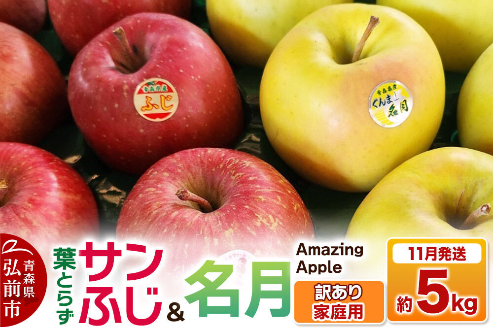 【26年11月下旬発送】りんご 葉取らずサンふじ＆名月 詰め合わせ【訳あり】家庭用 約5kg [りんご サンふじ 葉とらず ふじ 名月 訳あり 家庭用 5kg 詰め合わせ セット アップル おいしい 果実 果物 美味 葉っぱ 林檎 青森県 弘前市]