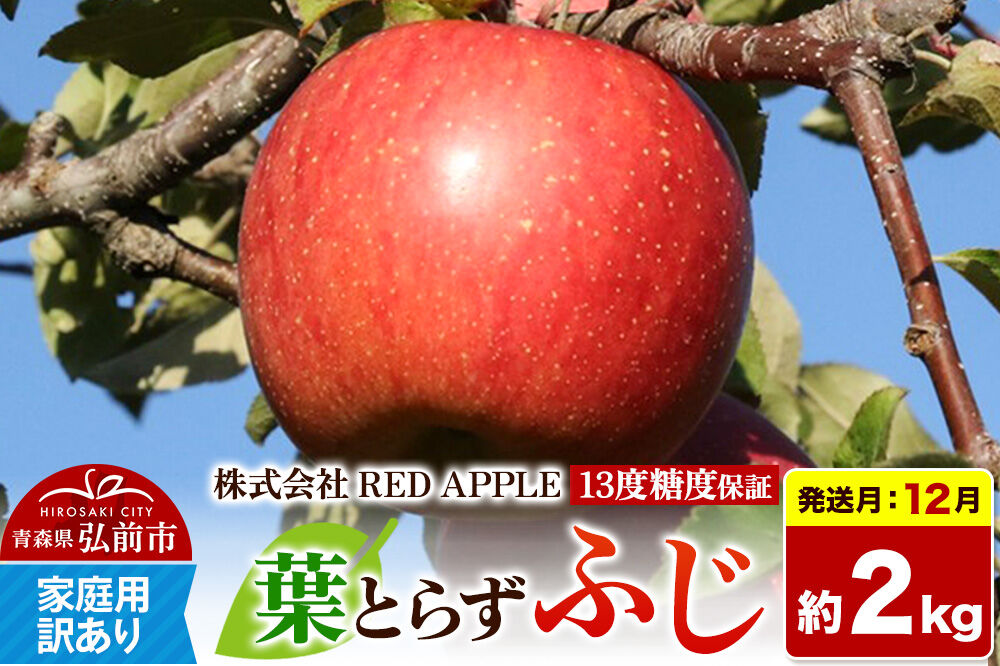 [26年12月発送]りんご 葉とらずふじ[訳あり]家庭用 約2kg 13度糖度保証 先行受付 [りんご 葉とらず ふじ 訳あり 家庭用 糖度 果実 果物 赤 林檎 アップル 美味 おいしい 青森県 弘前市 REDAPPLE]
