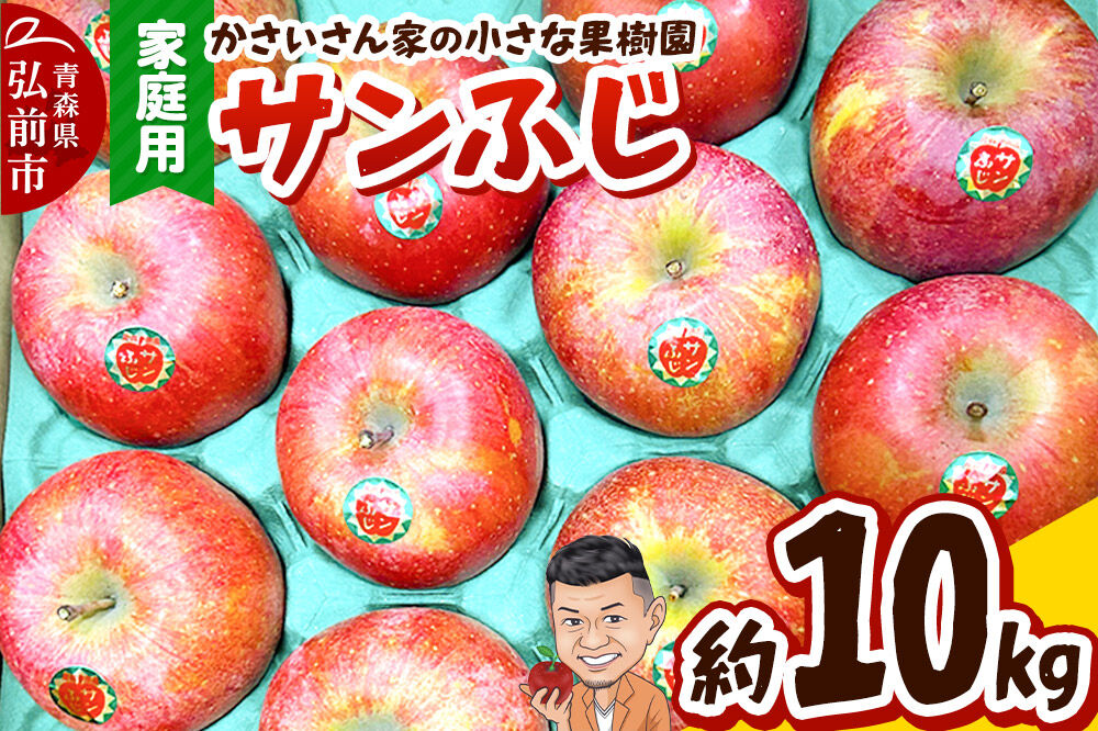 【26年12月〜発送】りんご サンふじ 約10kg【家庭用】 [アップル おいしい 果実 果物 赤色 美味]