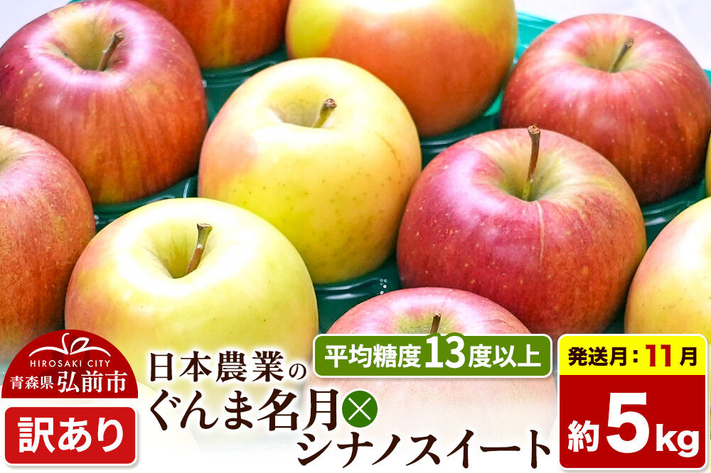【26年11月発送】りんご ぐんま名月×シナノスイート【訳あり】約5kg 平均糖度13度以上 青森県 弘前市 果物 フルーツ 林檎 リンゴ くだもの 不揃い 規格外 先行受付 [先行予約 家庭用 産地直送 アップル 青森県 弘前市]