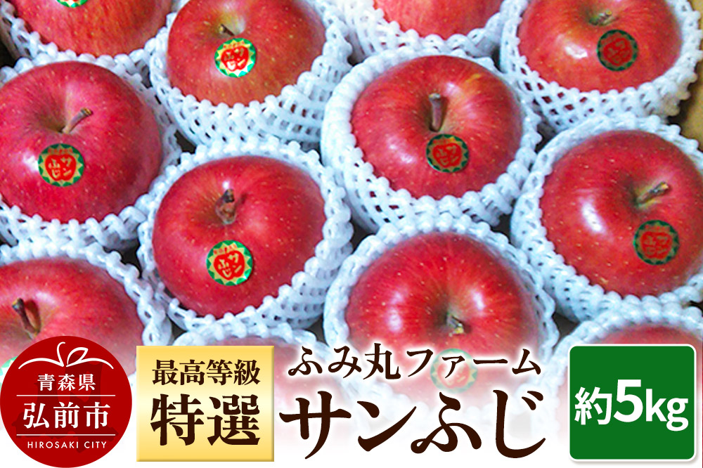【25年12月発送】りんご ふみ丸ファーム 最高等級「特選」 サンふじ 約5kg