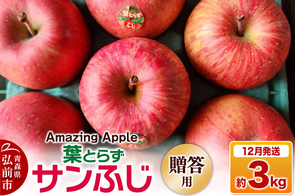 【26年12月発送】りんご 葉とらずサンふじ【贈答用】約3kg [りんご サンふじ 葉とらず ふじ 3kg お歳暮 お中元 ギフト 贈り物 贈答用 アップル おいしい 果実 果物 赤色 美味 葉っぱ 林檎 青森県 弘前市]