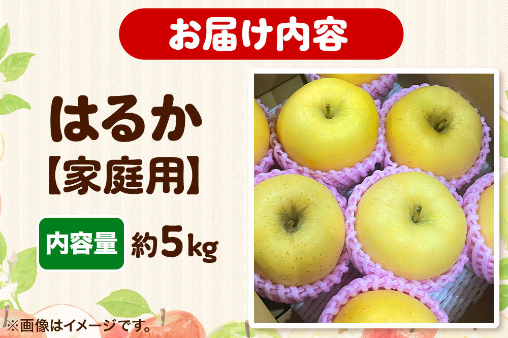 【26年12月発送】りんご【高級りんご・はるか】はるか【家庭用】約5kg 先行受付 青森県 弘前市 果物 フルーツ 林檎 リンゴ くだもの 不揃い 規格外 [先行予約 産地直送 アップル おいしい 果実 美味 甘い 黄色]