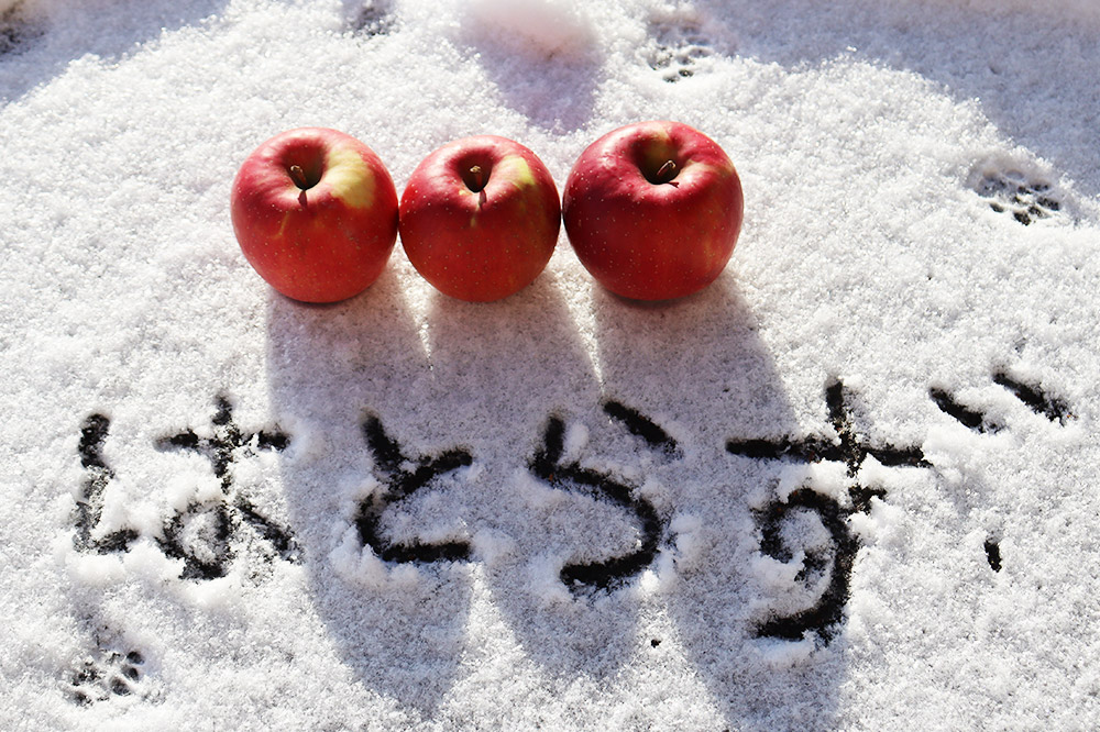 【25年12月〜発送】りんご 葉とらず ふじ【家庭用】約5kg ゴールド農園