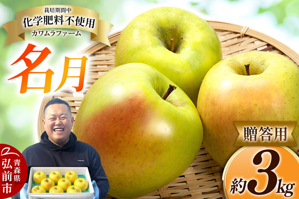 【26年10月下旬〜発送】りんご 名月【贈答用】約3kg【先行受付】カワムラファーム 青森県 弘前市 果物 フルーツ 林檎 リンゴ くだもの ギフト 贈り物 [先行予約 産地直送 アップル おいしい 果実 美味 甘い 黄色]