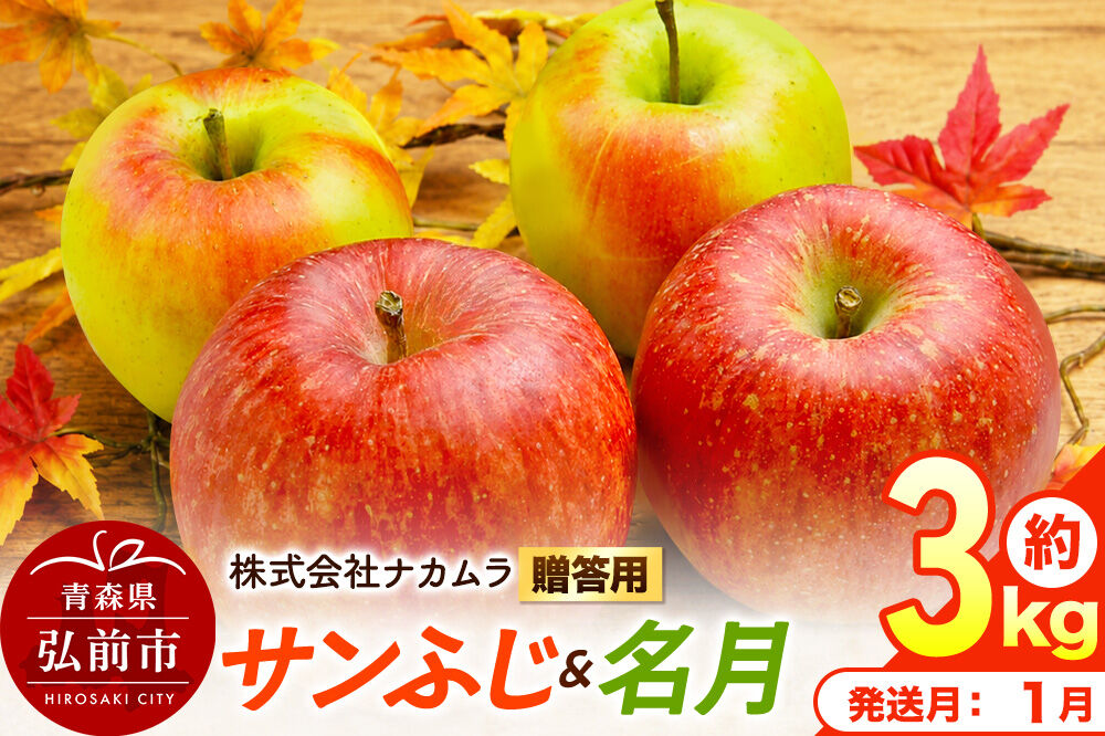 【27年1月発送】りんご サンふじ・名月【贈答用】約3kg（9〜12玉程度）先行受付 青森県産 林檎 リンゴ 果物 くだもの フルーツ 青森県 弘前市 [先行予約 産地直送 ギフト 贈り物 アップル おいしい ふじ 名月 果実 美味 甘い]