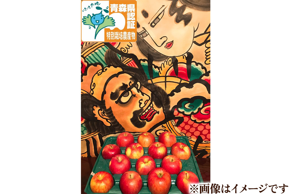 【26年1月発送】りんご 訳あり家庭用【年明け発送】葉取らず サンふじ 約3kg（8〜12玉程度）青森県特別栽培農産物認証農園