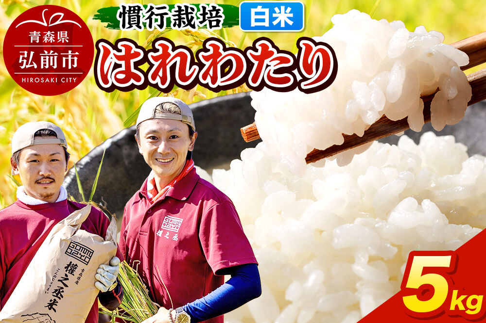【寄附金額見直しました】米 はれわたり 5kg ［白米］ 慣行栽培 青森県産 令和7年産 [お米 東北 精米 青森県 弘前市 白米 ブランド米]
