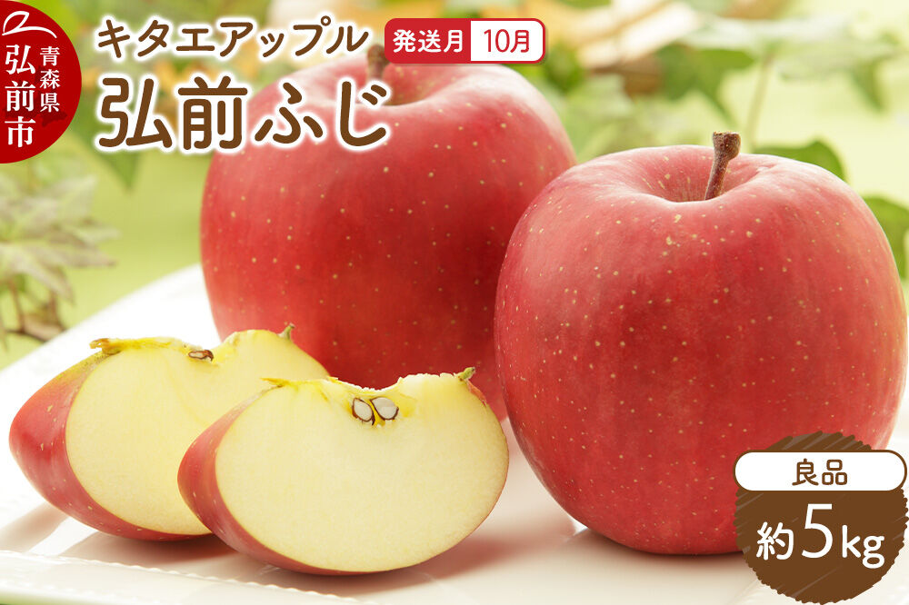 【26年10月発送】りんご 弘前ふじ【良品】約5kg キタエアップル 青森県 弘前市 [先行予約 弘前ふじ りんご 贈り物 アップル おいしい 果実 果物 赤色 美味 林檎]